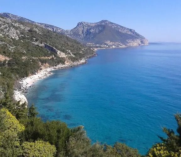 Neruda カーラゴノネ